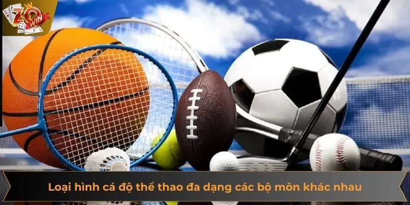 Loại hình cá độ thể thao đa dạng các bộ môn khác nhau